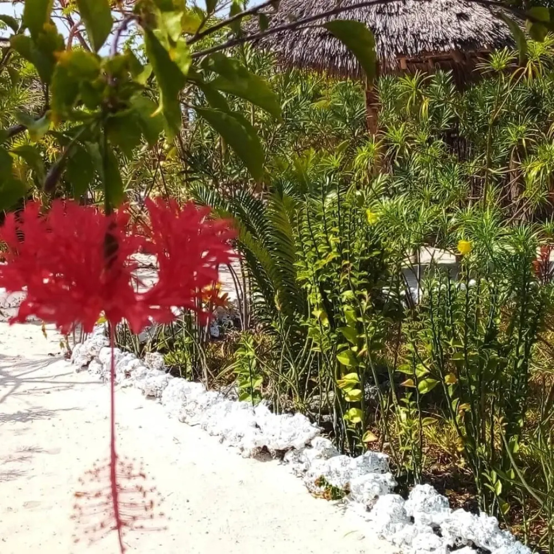 The Dream Garden Bungalow