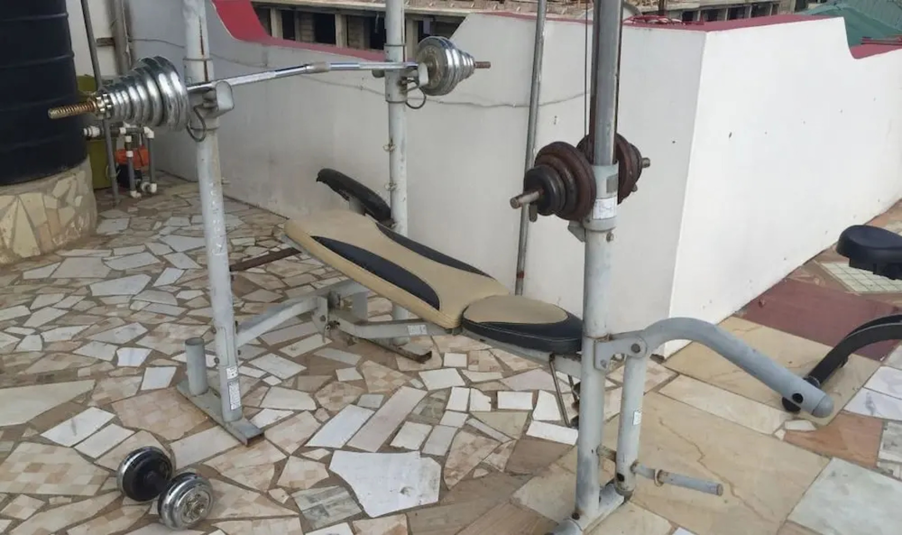 Rasta Tees Place - Standard