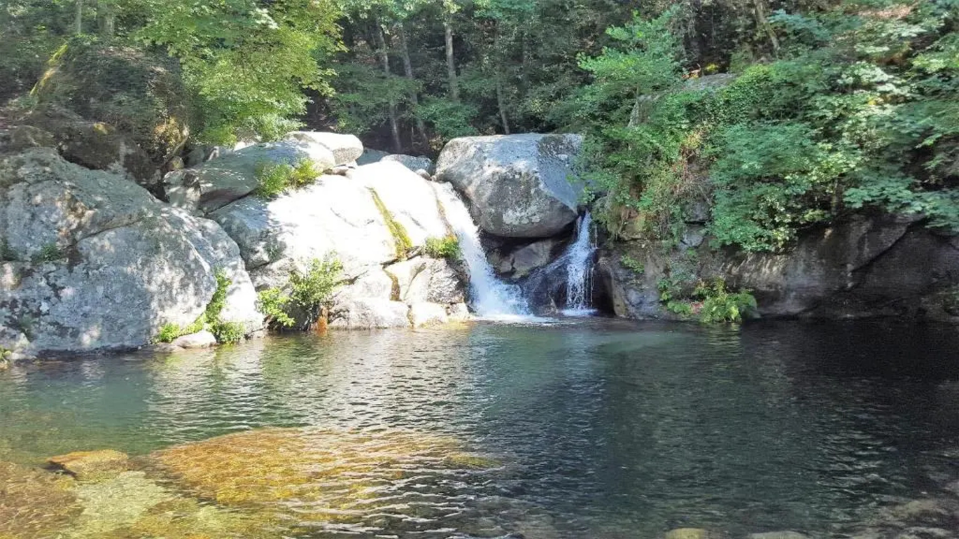 Les Chalets Et Gite du Haut Taravo