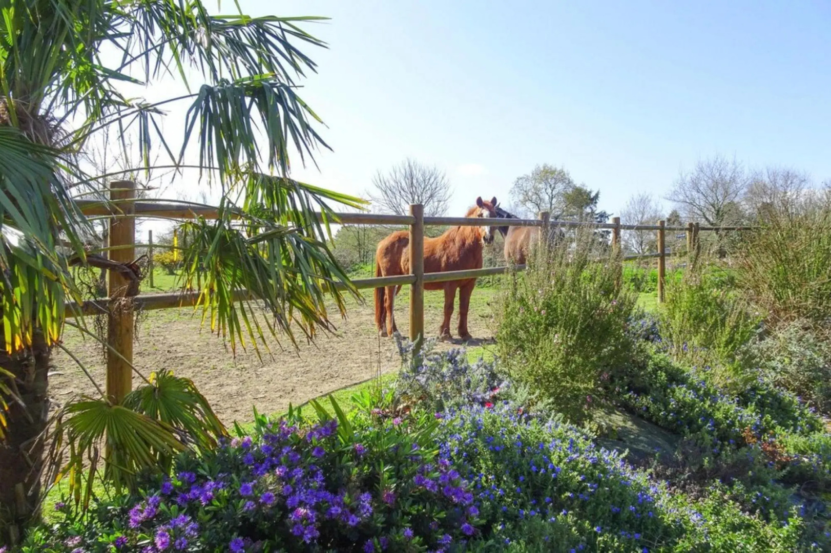 Cottage, Plouezec in Plouézec