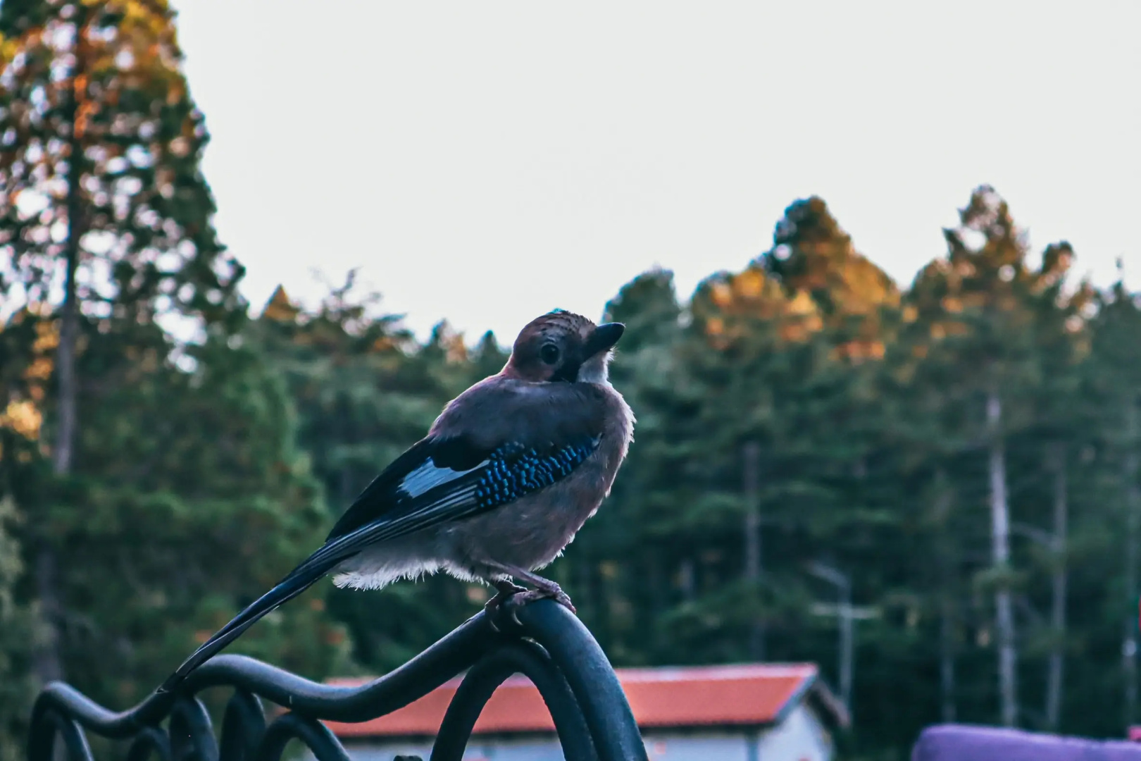 Vallicciola Nature Hotel
