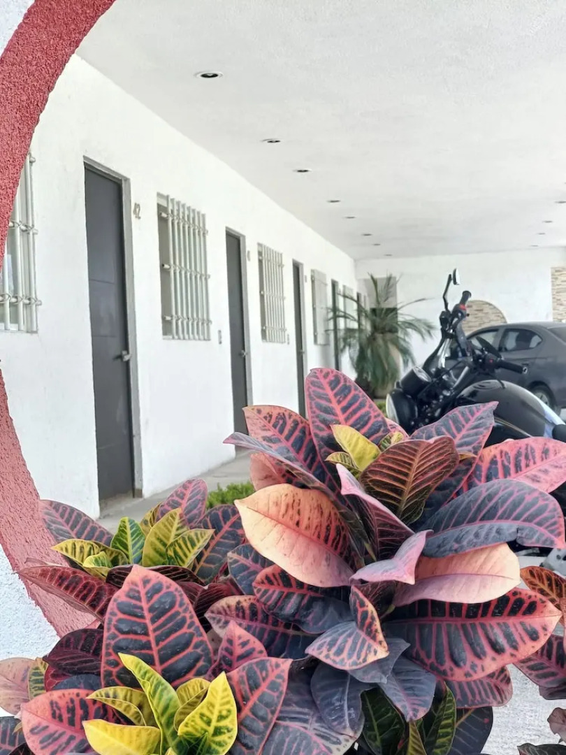 Hotel Casa Blanca Paz en Hogar