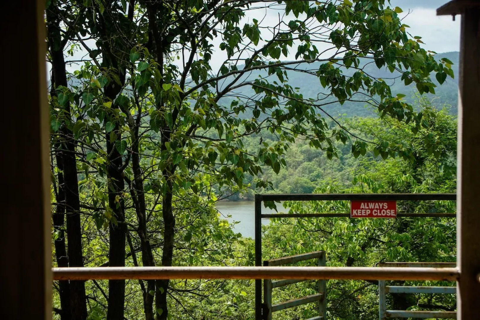 Sterling Nature Trails Kundalika, Kolad