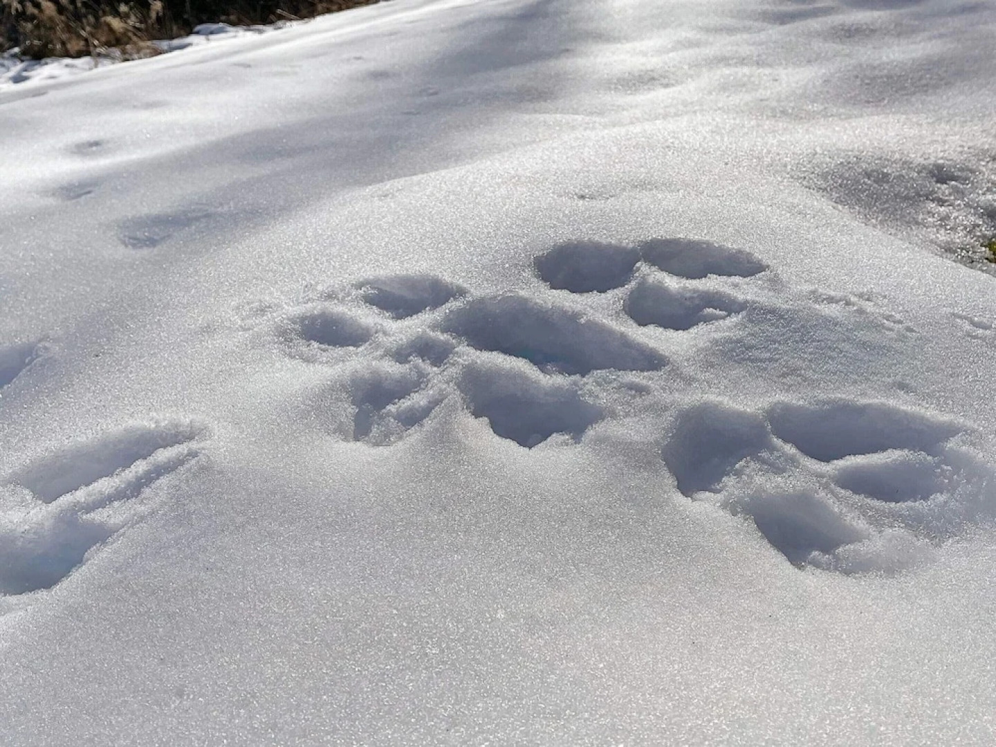 6 Person Holiday Home in Tocksfors-by Traum