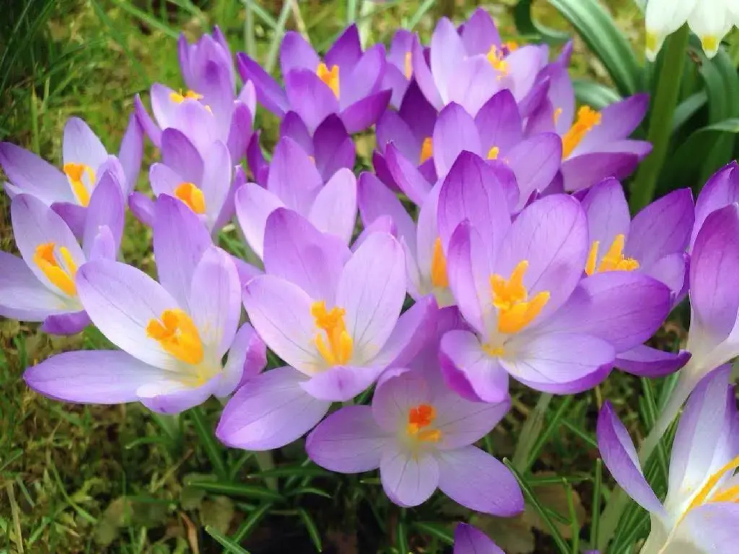 Wohlfühlhotel Sonnengarten