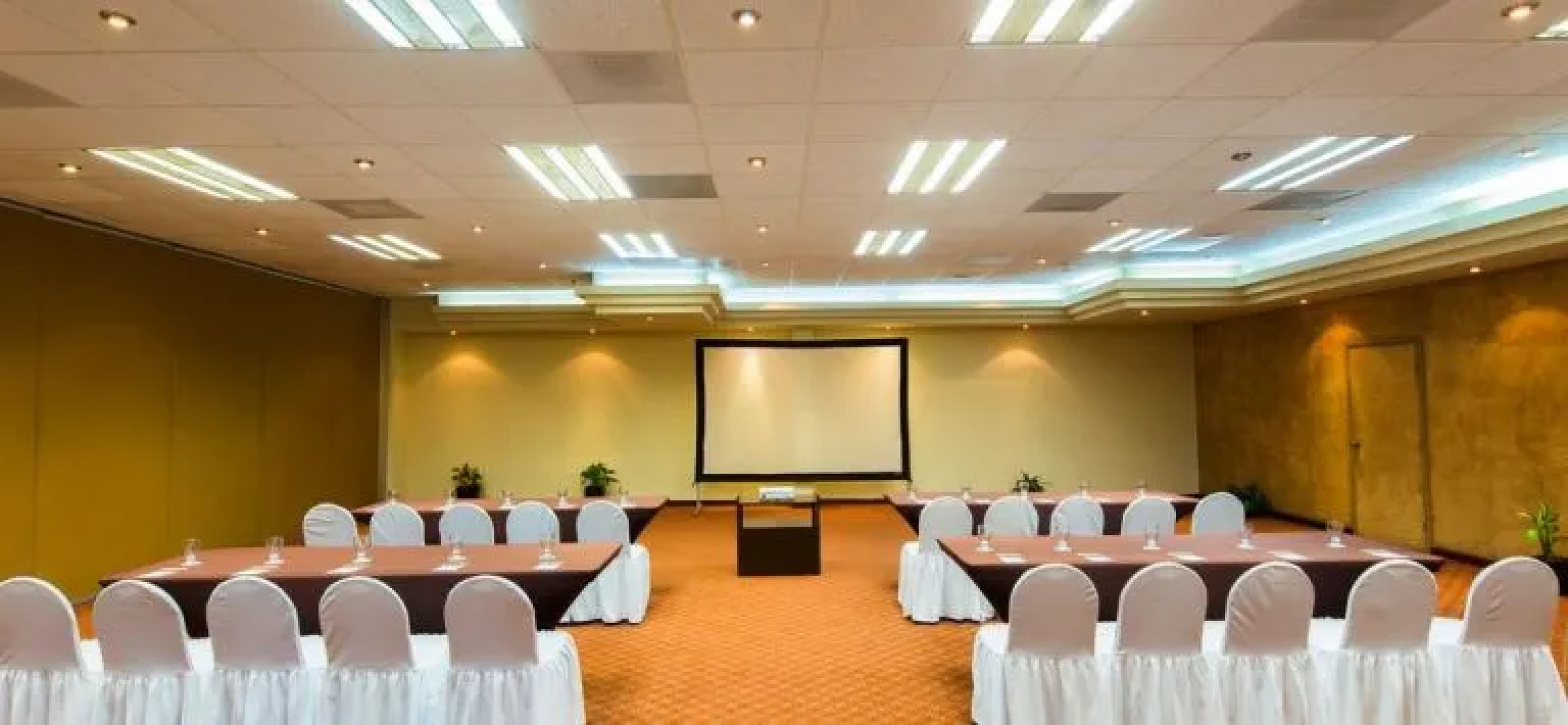 Villa del Palmar Residences