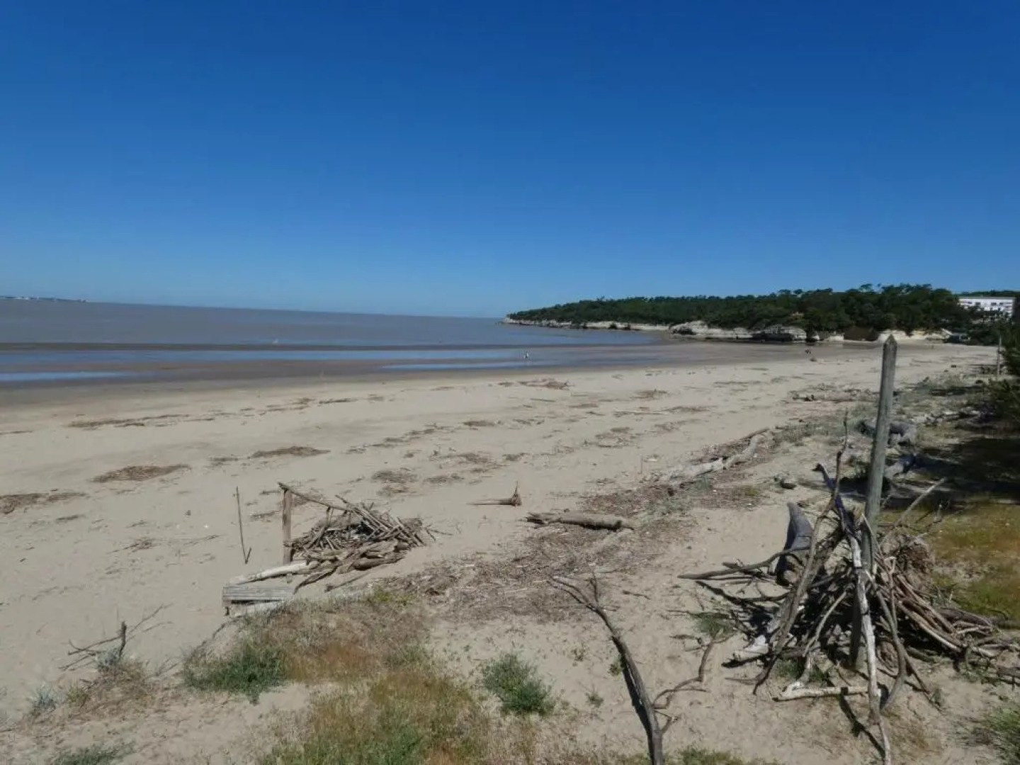 Appartement Meschers-sur-Gironde, 3 pièces, 6 personnes - FR-1-71-81