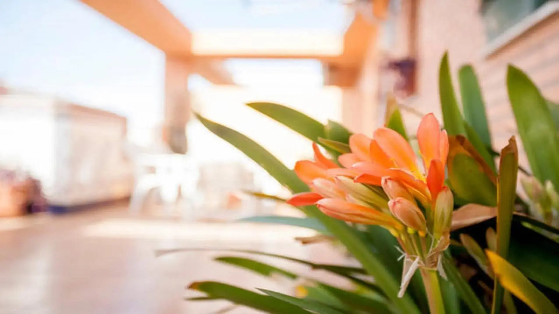 Casa Serra - PATERNA - APARTAMENTO ALQUILA 3 HABITACIONES CON GARAJE