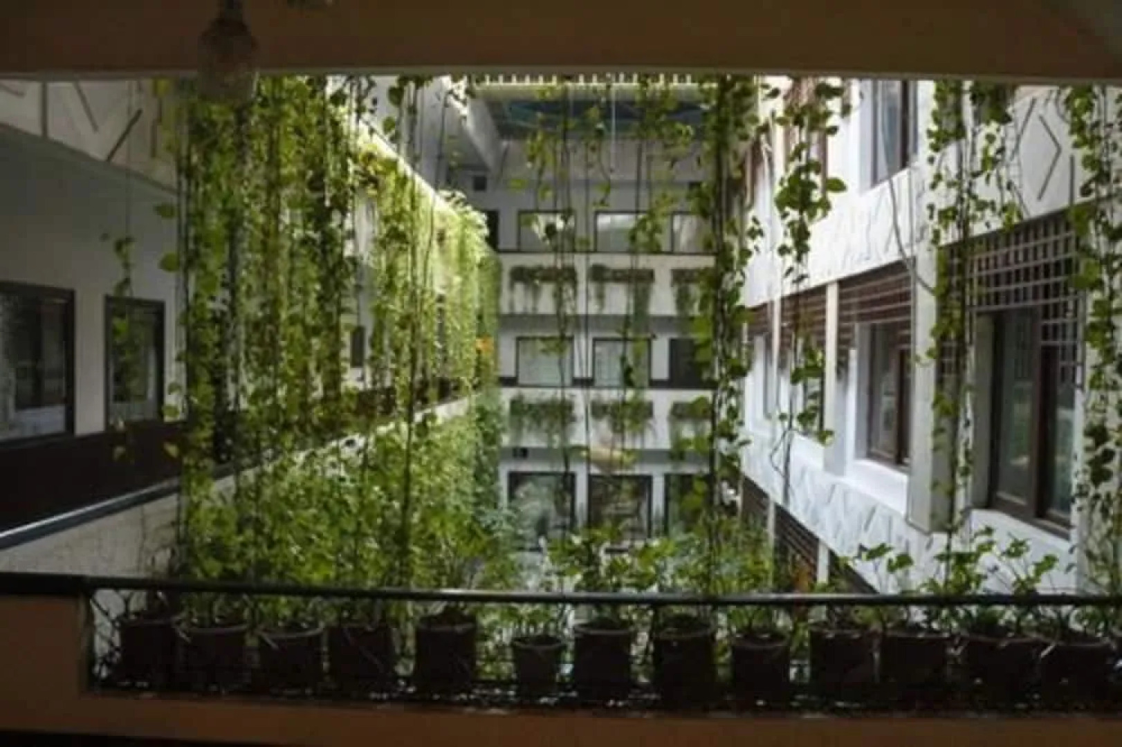 Shelton Green's Hotel