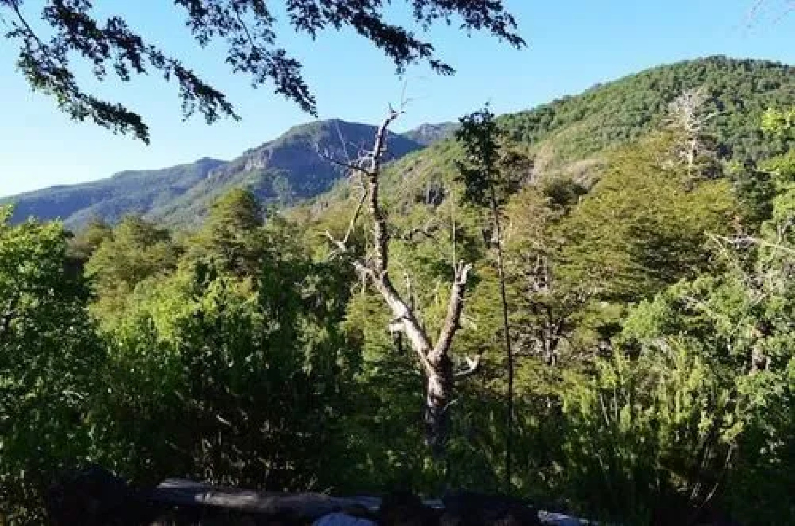 Lodge Las Trancas - Hostel