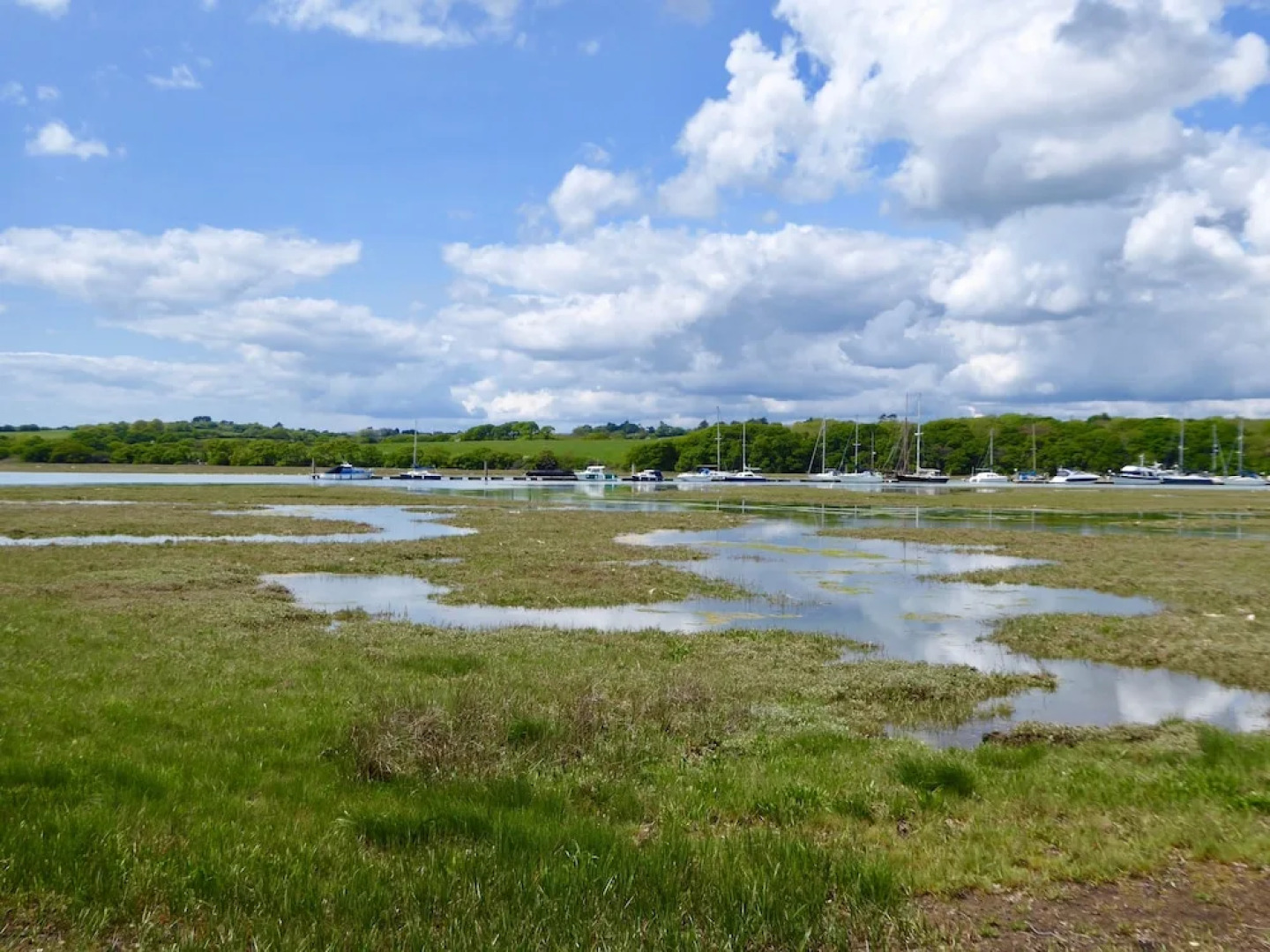 Harbour Life - Yarmouth