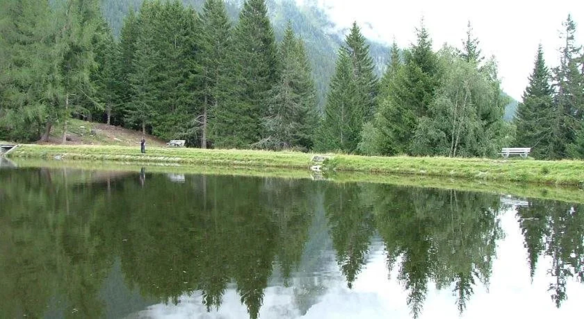 Wirtshaus zum Wiesejaggl