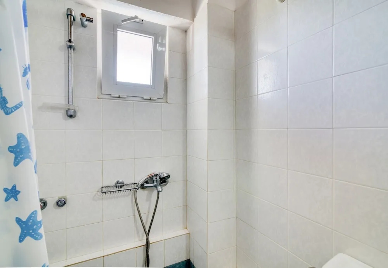 Zante Dolphin III Alykes