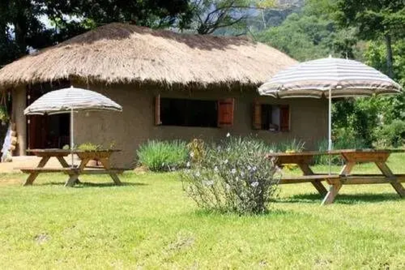 Udzungwa Forest Tented Camp