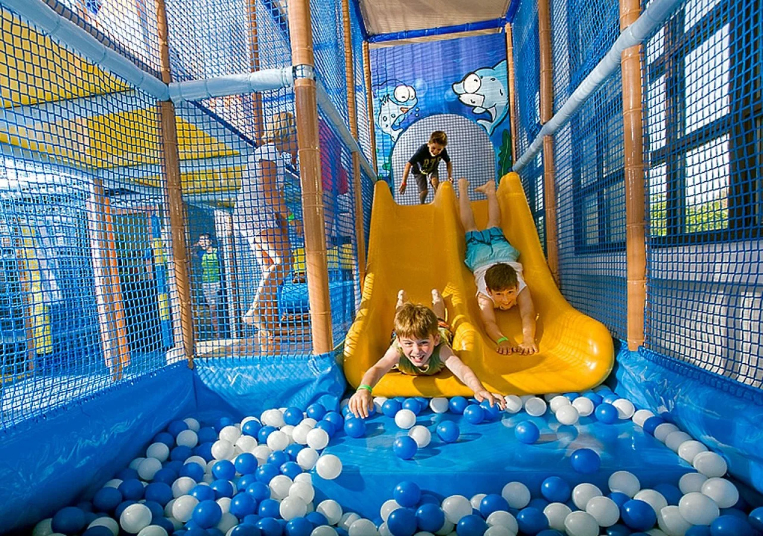 Отель Valamar Club Tamaris Hotel