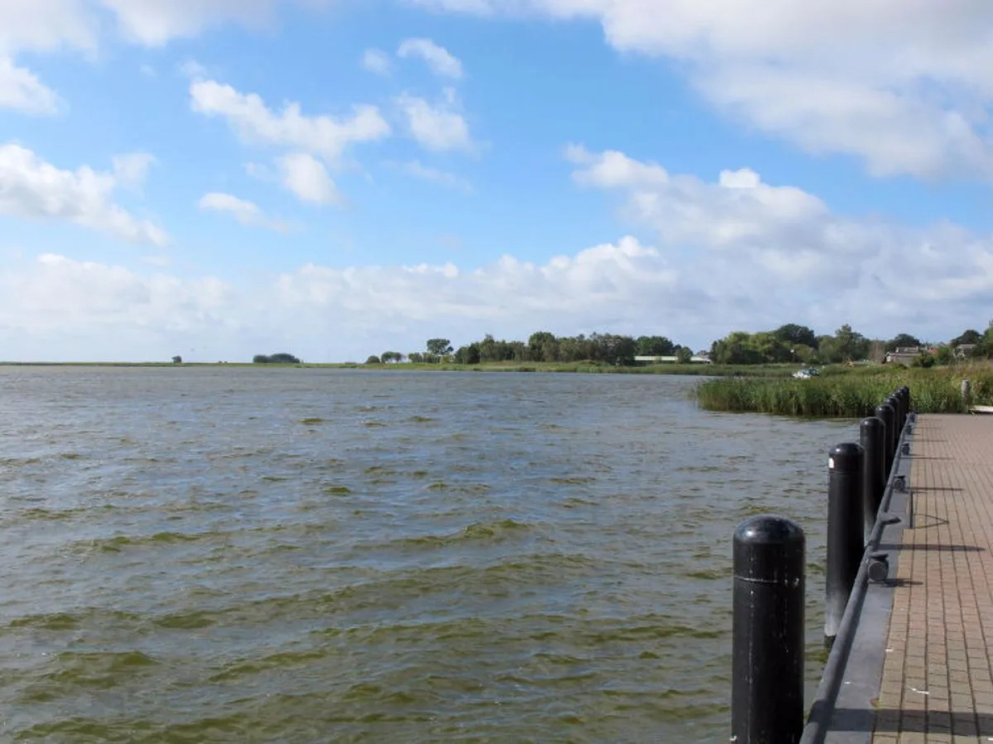 Apartment  Born 30110