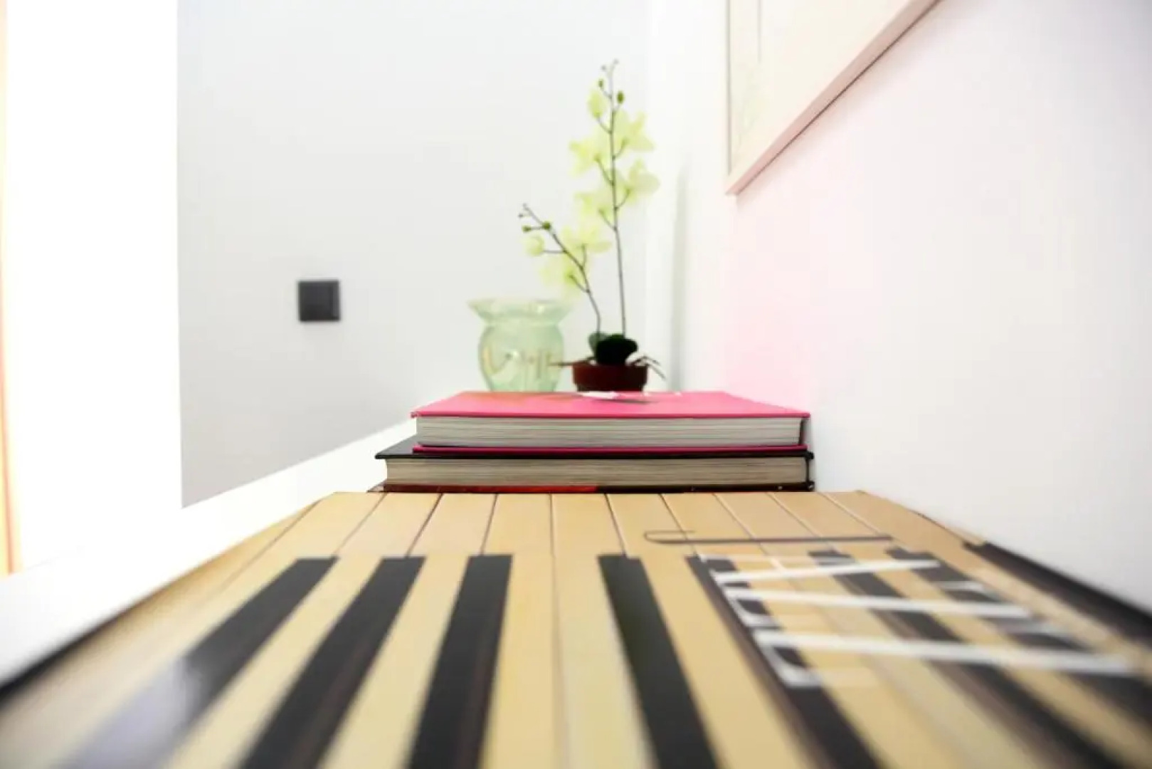 Casa da Viola - Faro