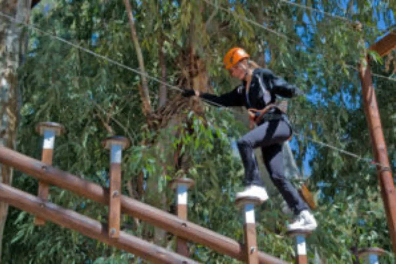 Nelumbo Petit Chalet