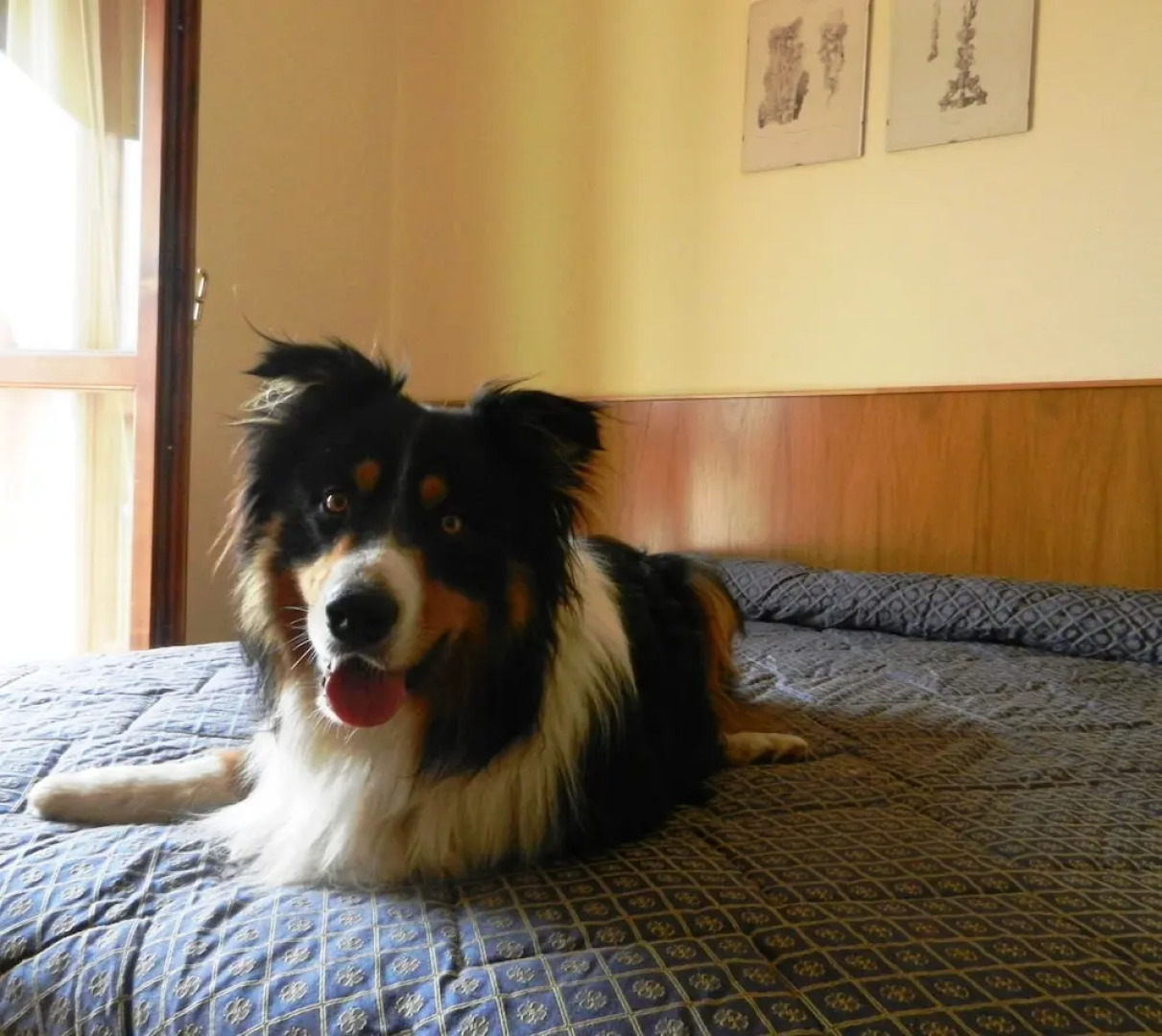 Hotel Albergo Al Milano