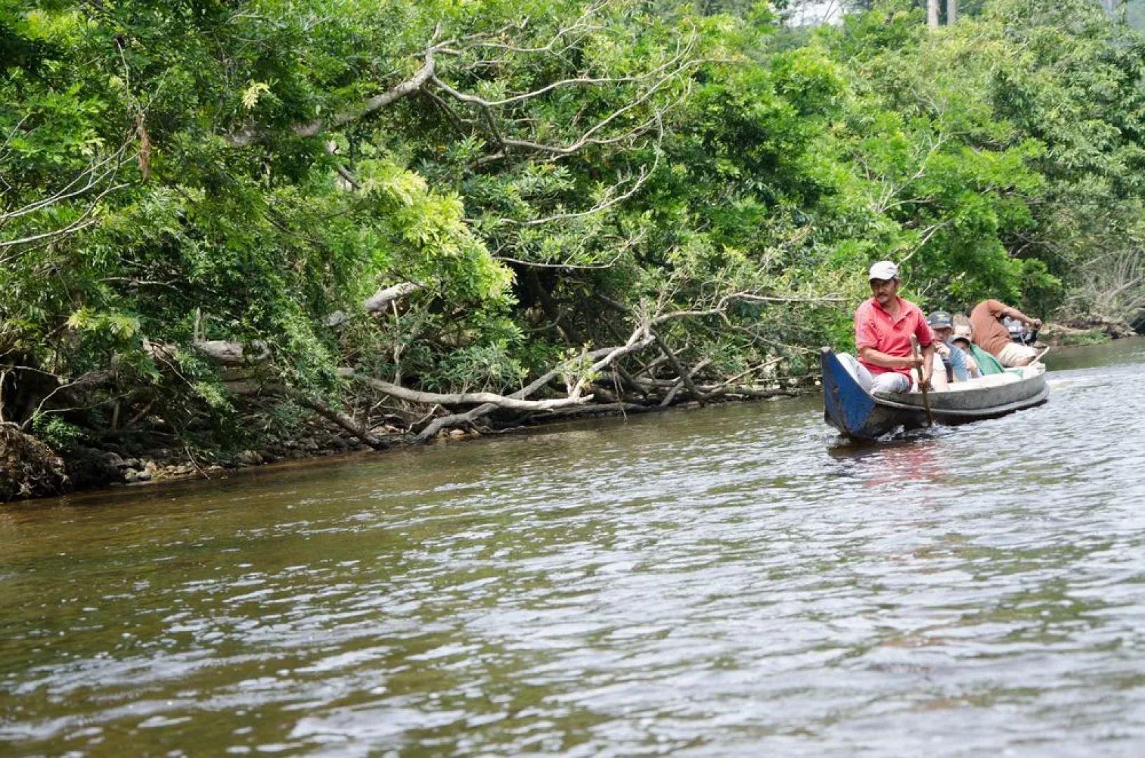Mutiara Taman Negara