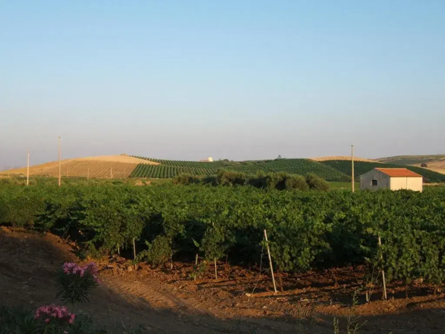 Relais Casa Mirabile