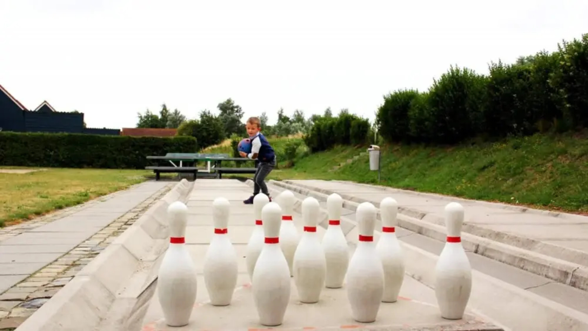 HVZ Crocus 4p in Heinkenszand