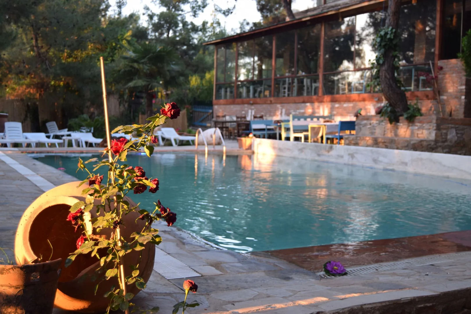 Kayserkaya Cottages & Camping