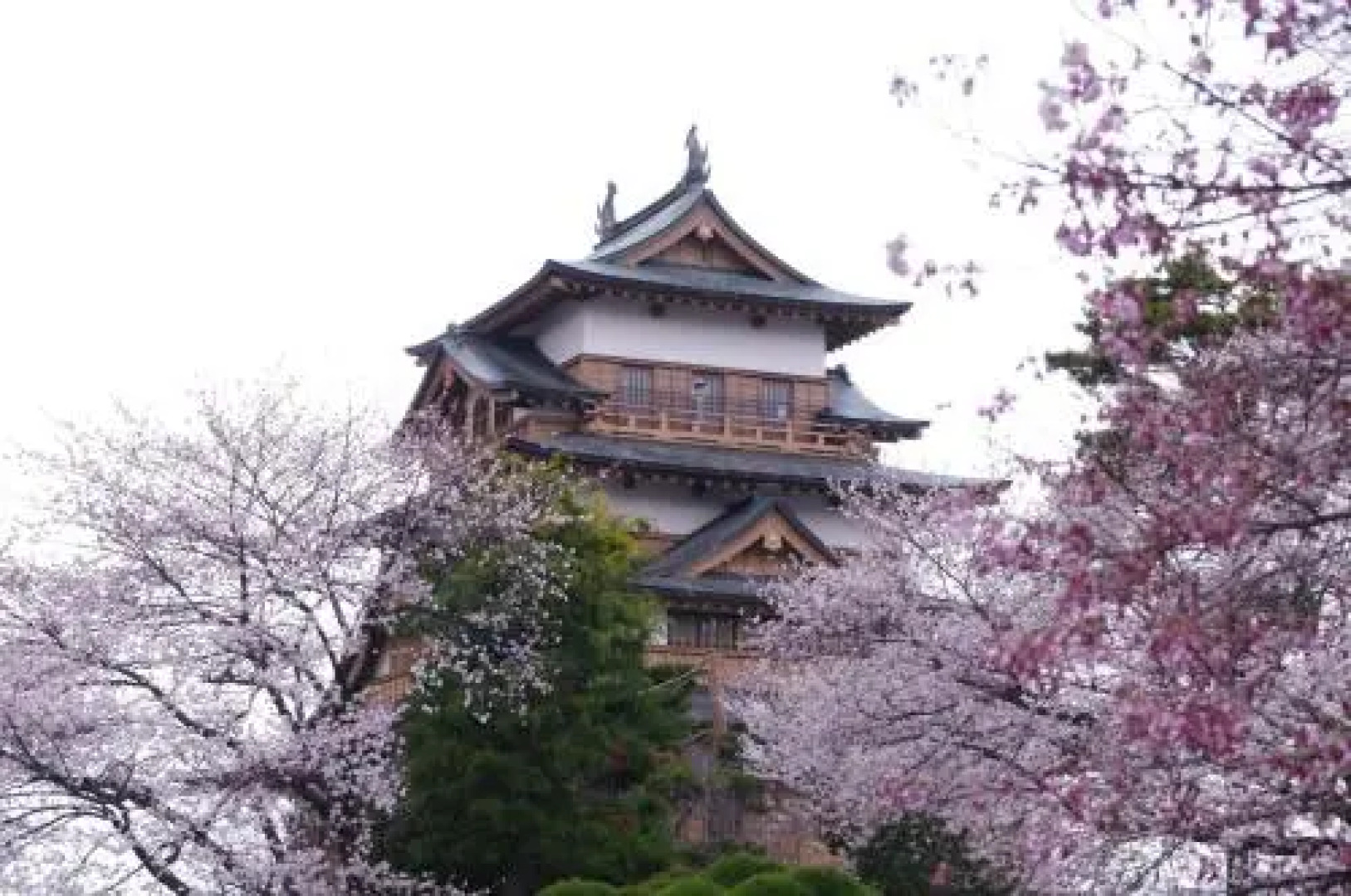 Petit Hotel of Log House Tombouctou