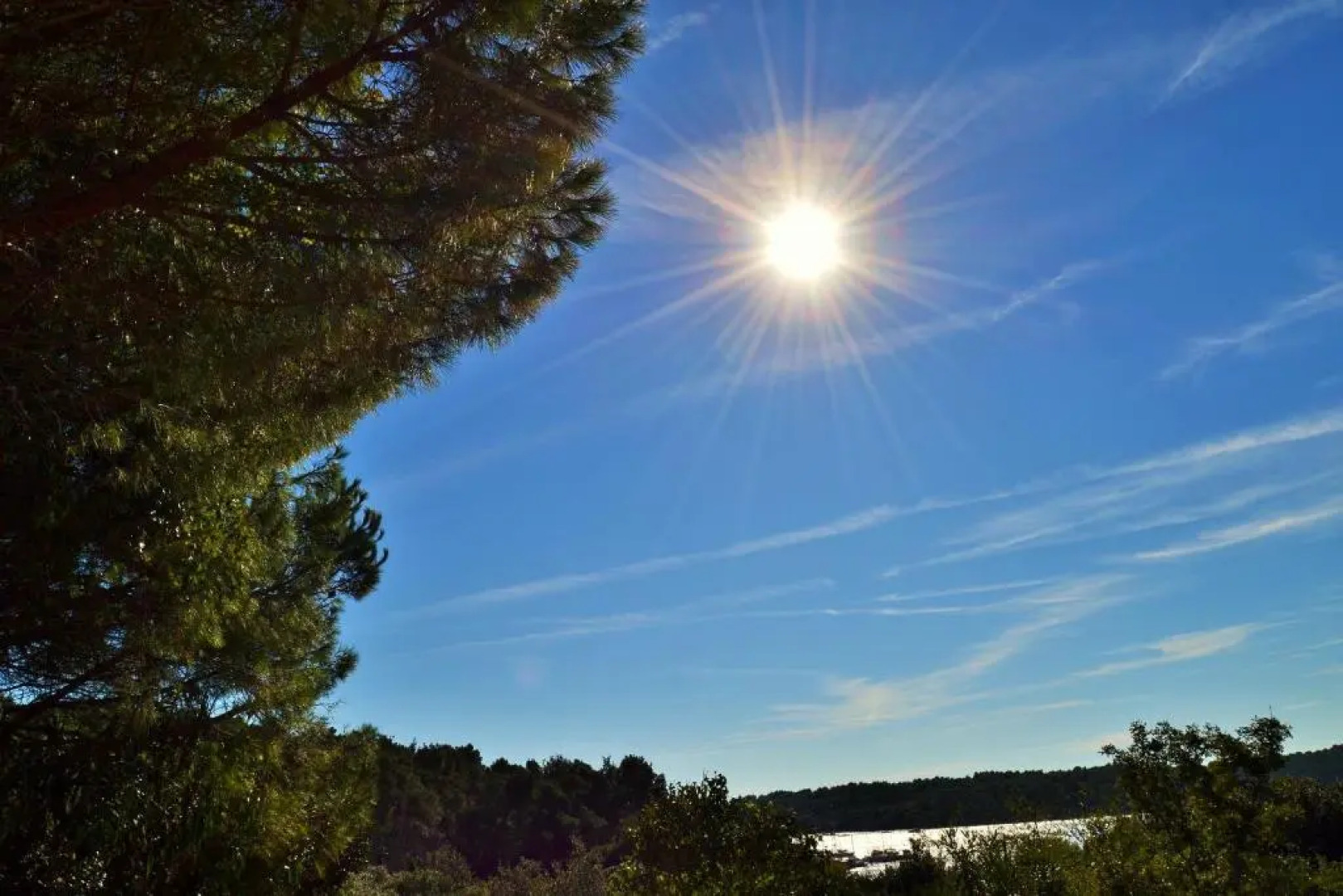 Apartments Villa Ada