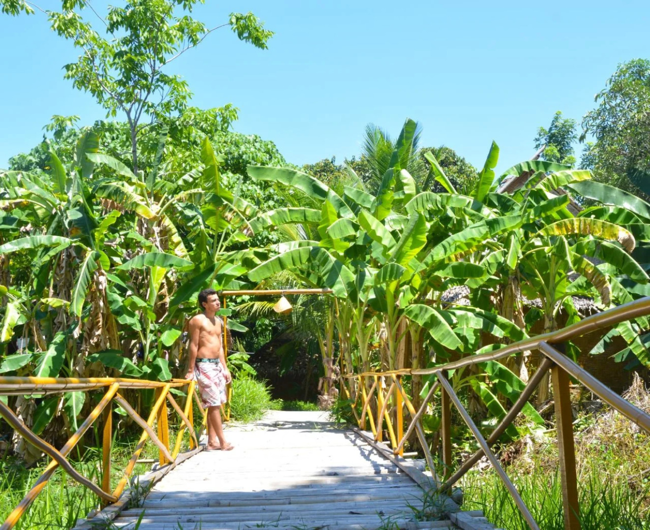 Forra Diving Resort - Sunrise Beach - Koh Lipe