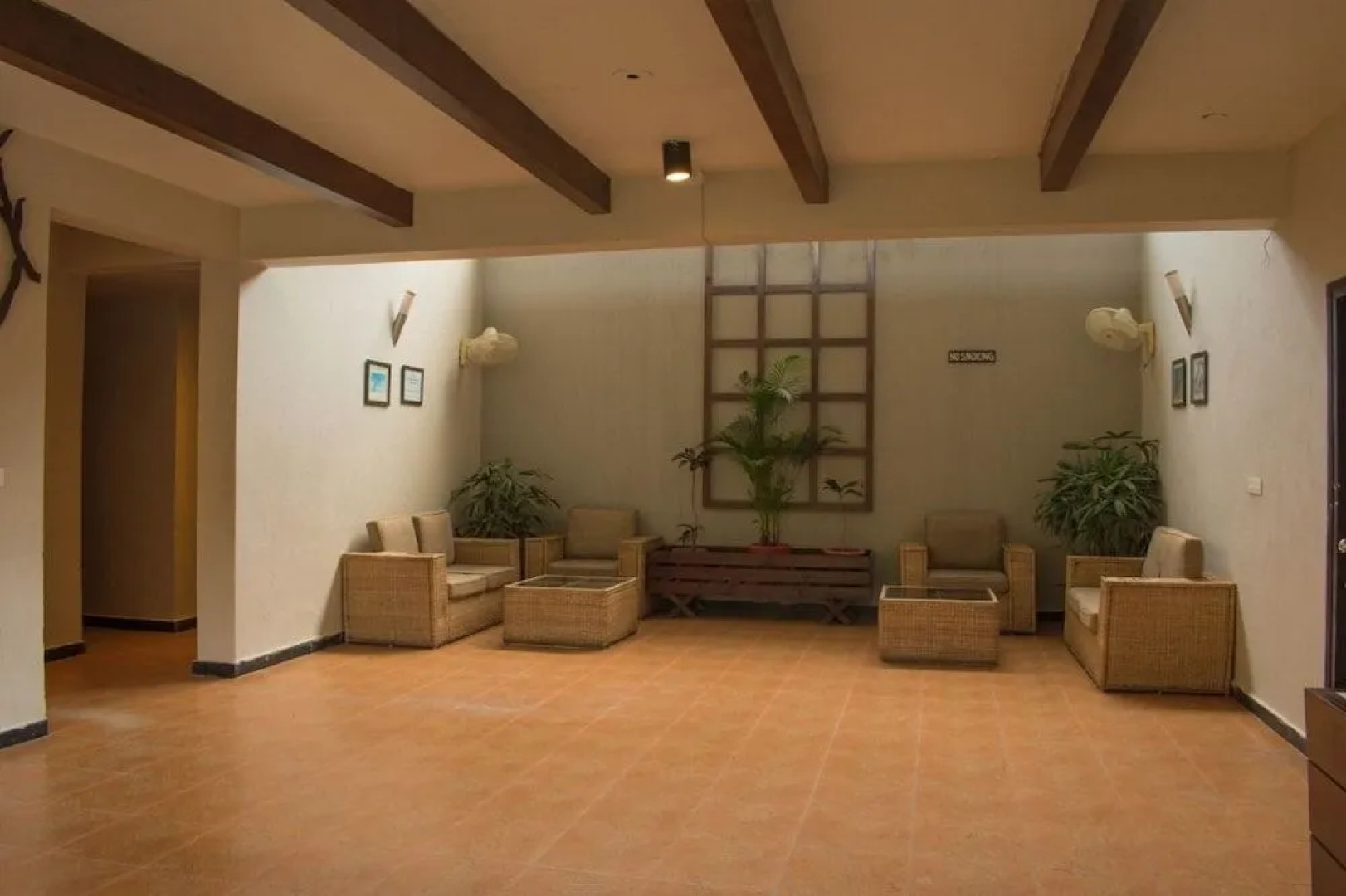 3 Palms Wild Exotica