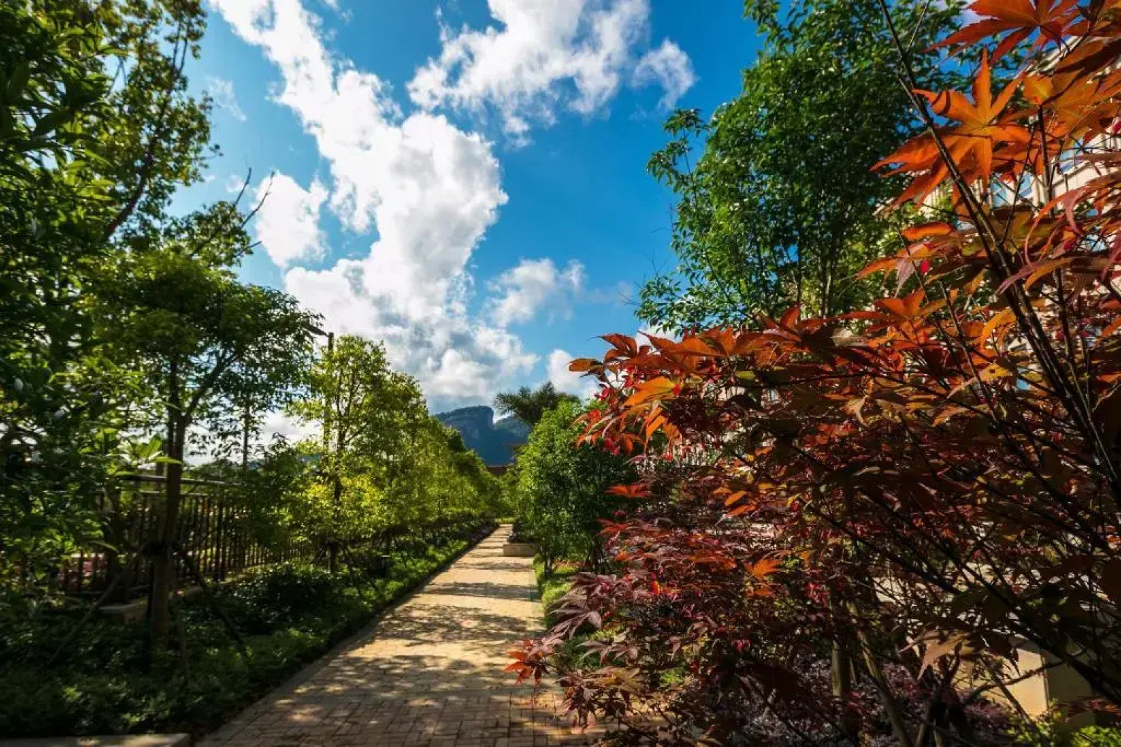 Millennium Resort Wuyishan