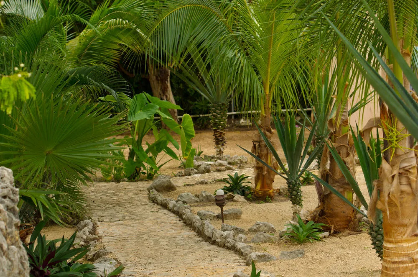 Villa Tortugas Residence