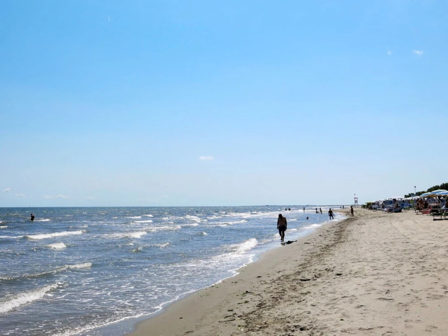 Azienda Agricola Forzello San Basilio