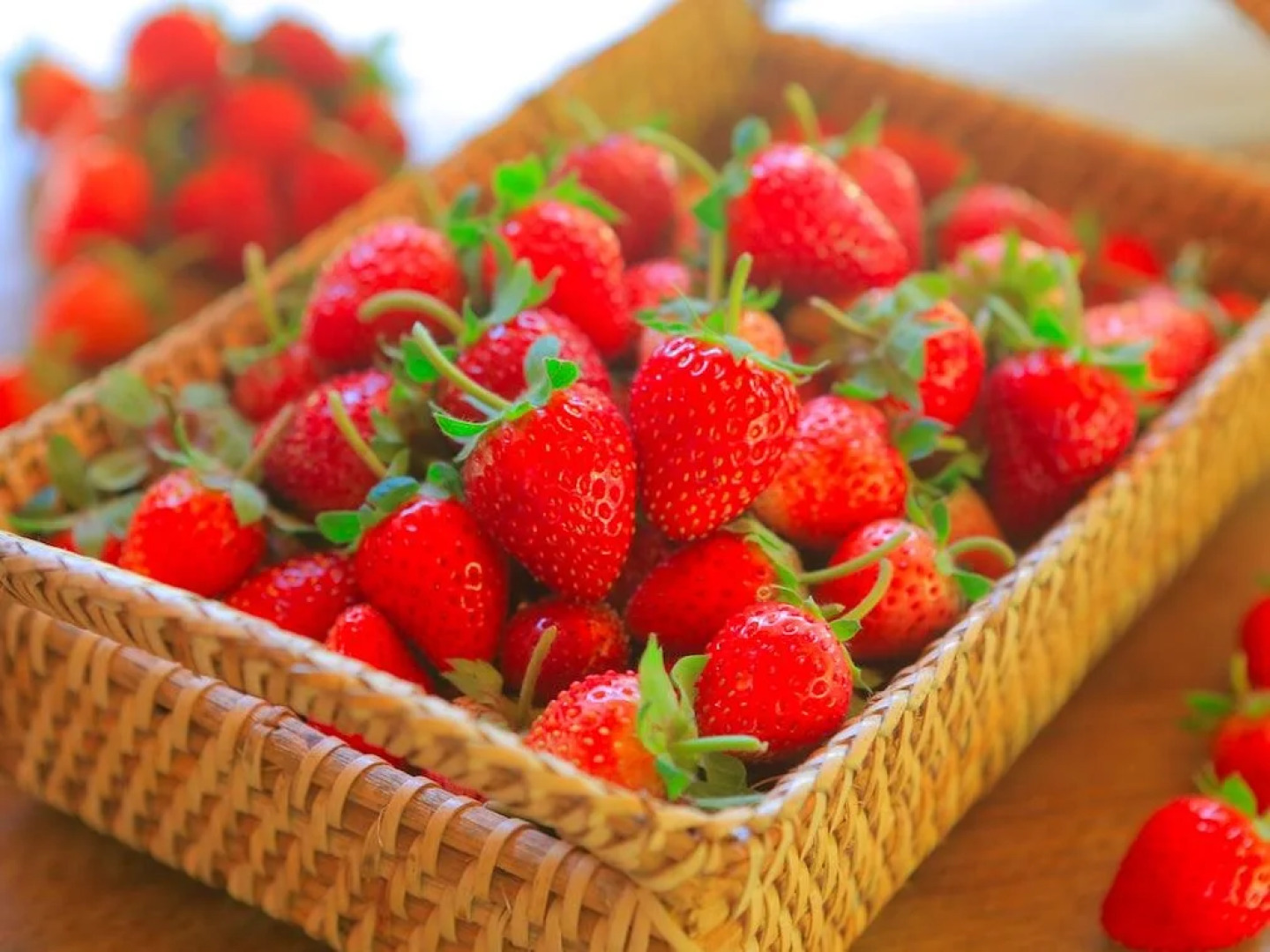 Doi Nok Strawberry Resort Chiangmai