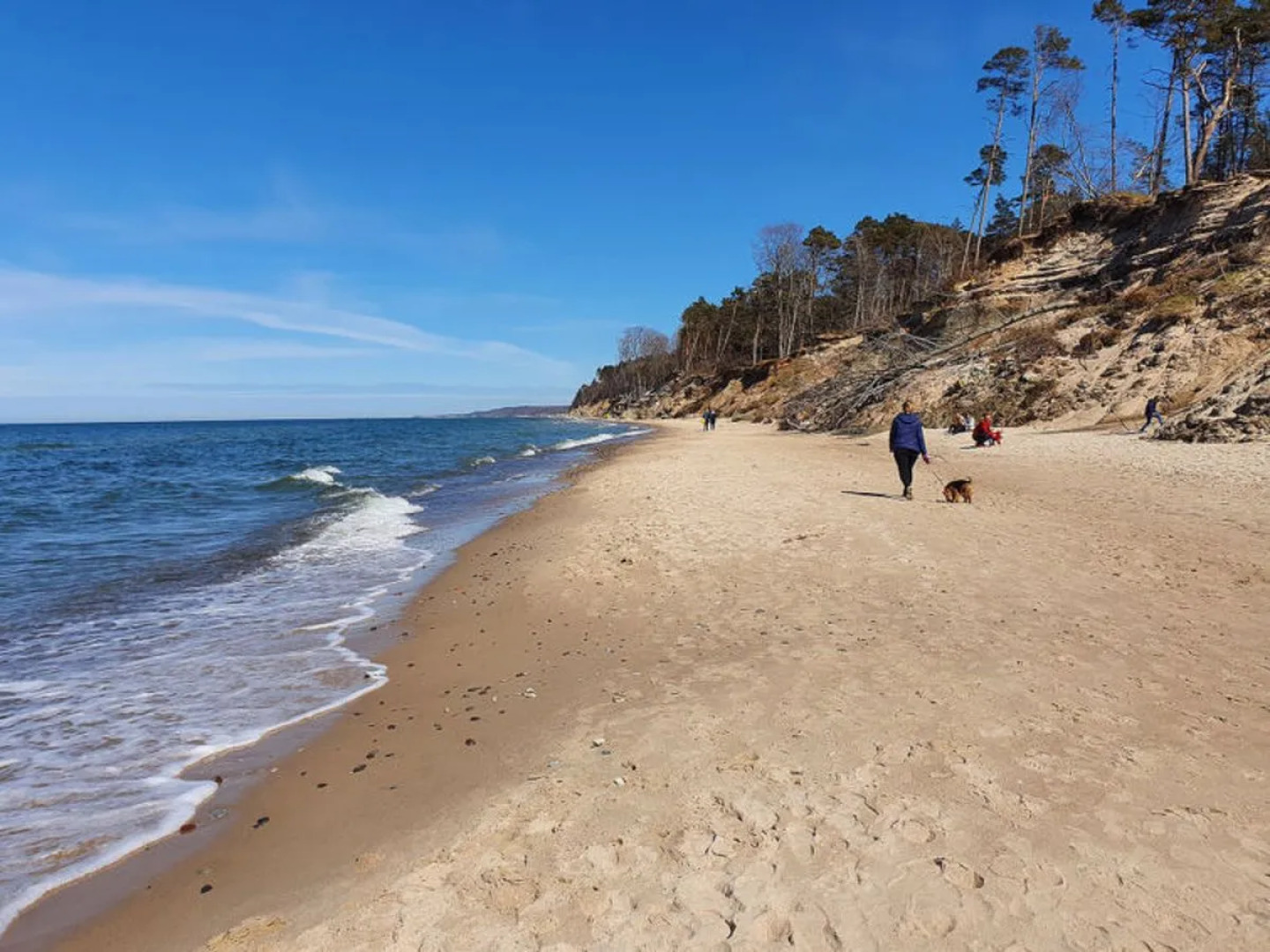 "MODRZEWIOWY ZAKąTEK"