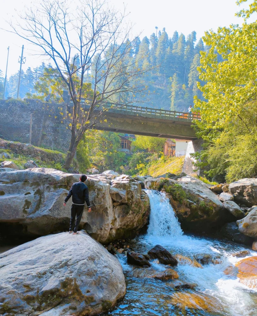 Madpackers Jibhi - Hostel