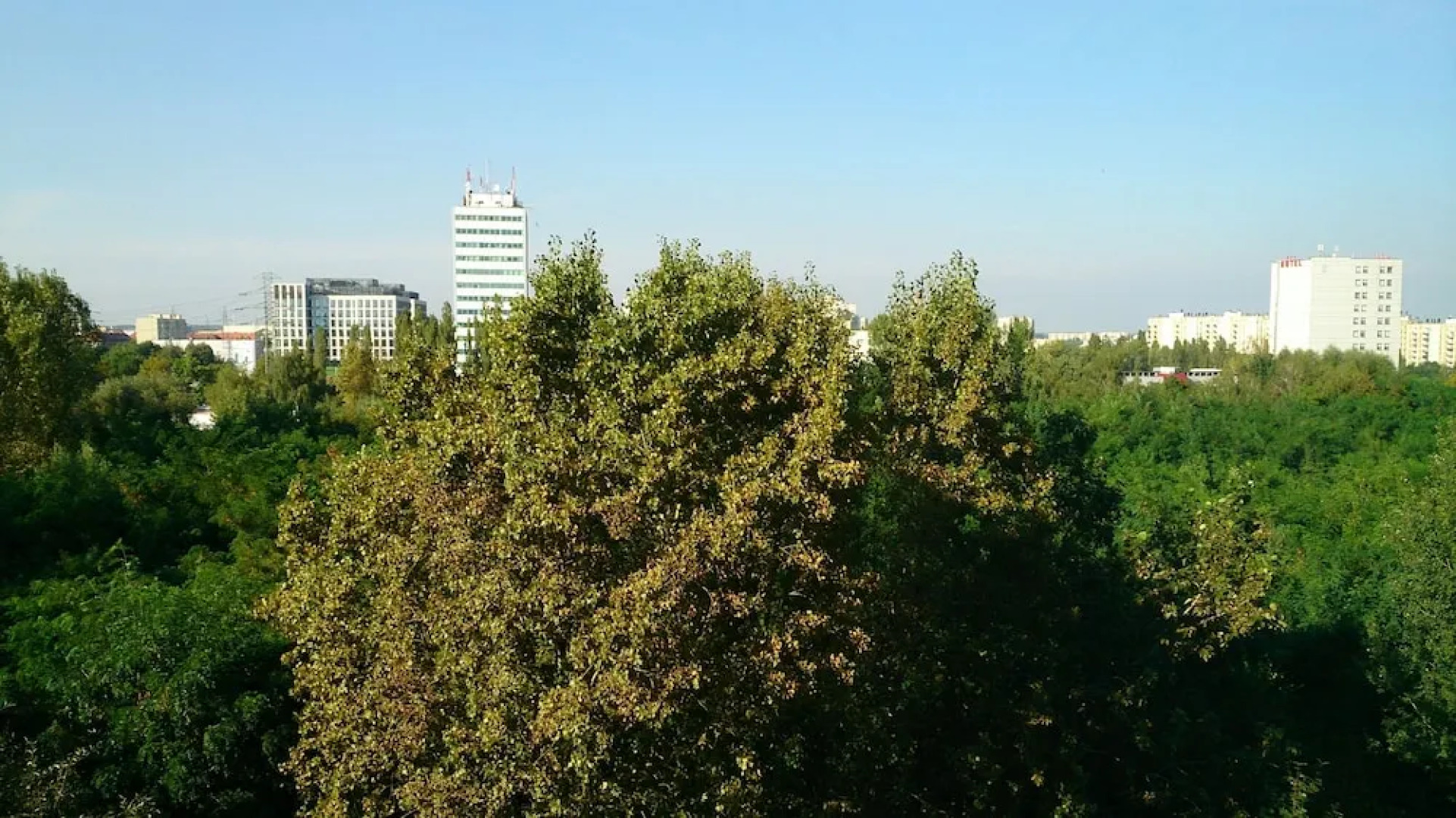 1 bedroom Francuska Park Apartment