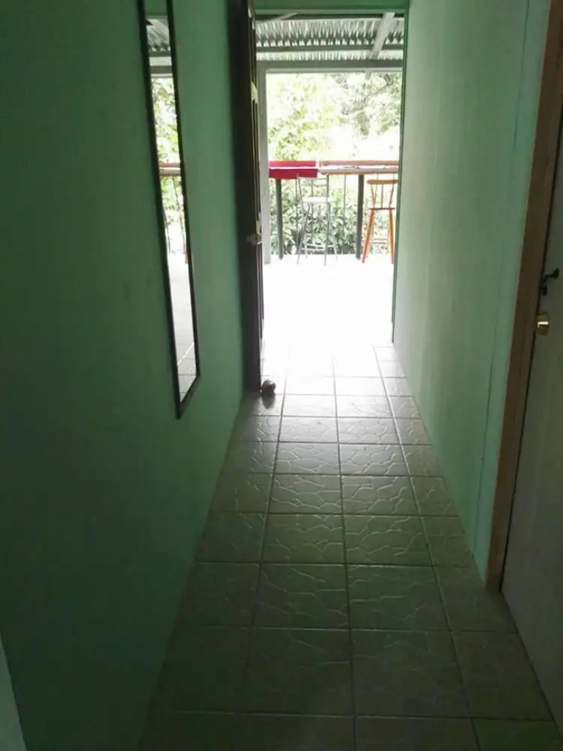 Blue Morpho House B&B