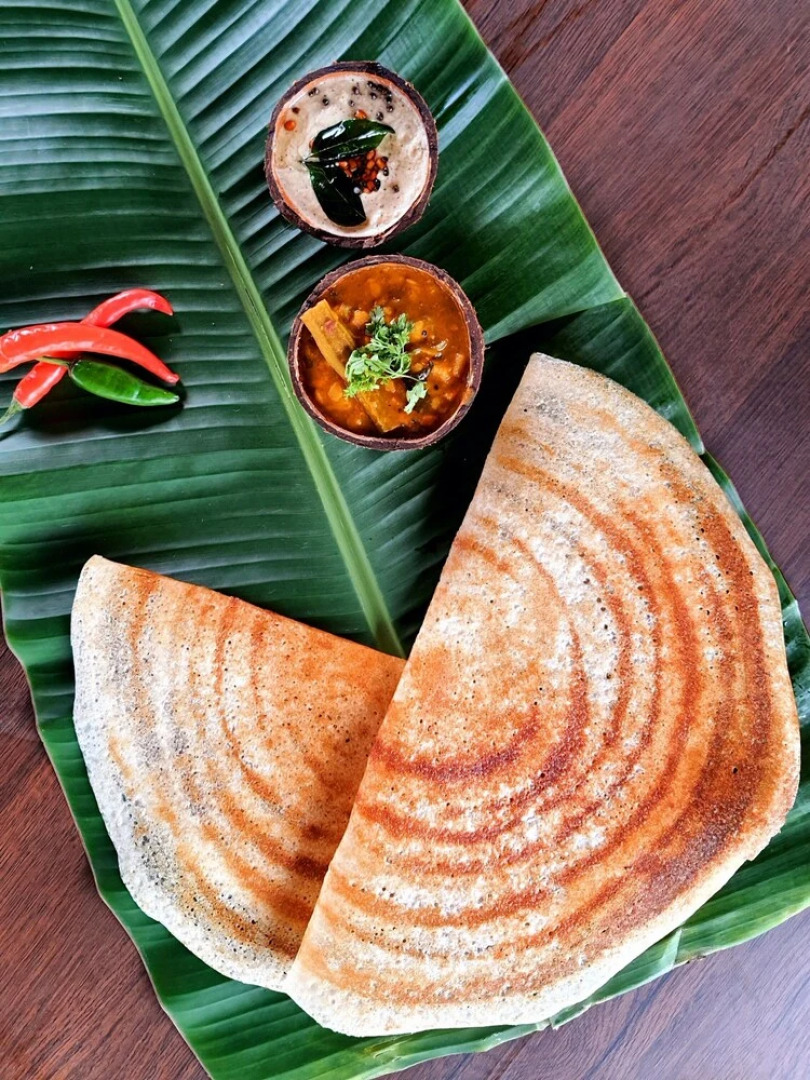 Avadale Tadoba - Stag Groups Not Allowed