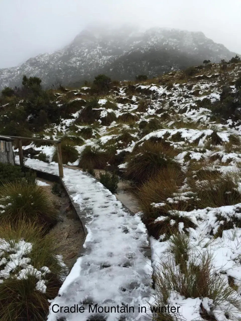 Penguin Seaside Homestay