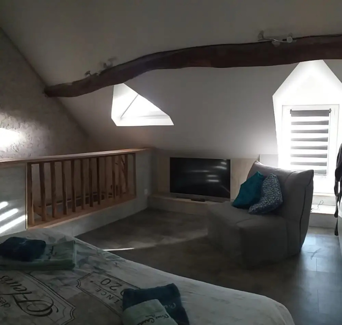 La Berrycurienne Proche du zoo de Beauval Saint-aignan