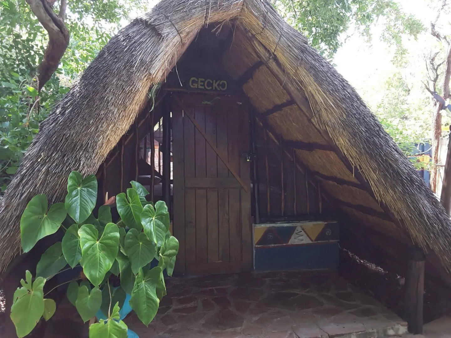 Victoria Falls Backpackers