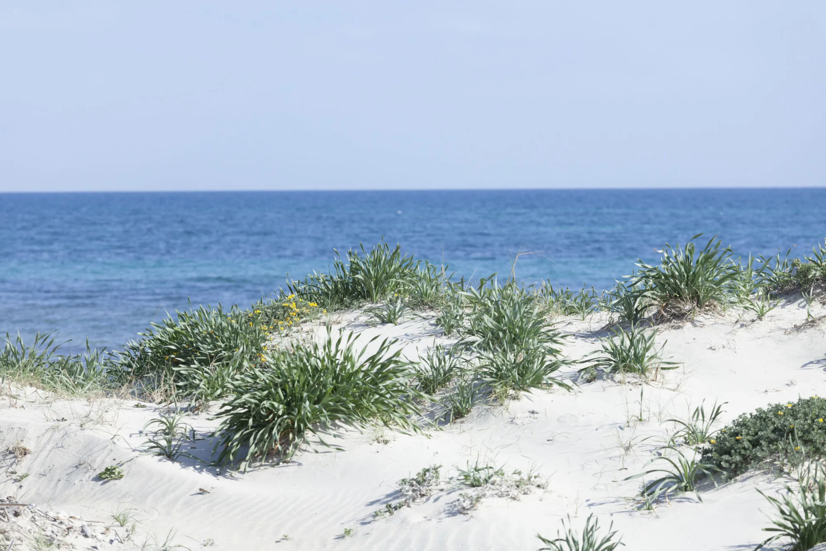 Spiaggiabella Resort