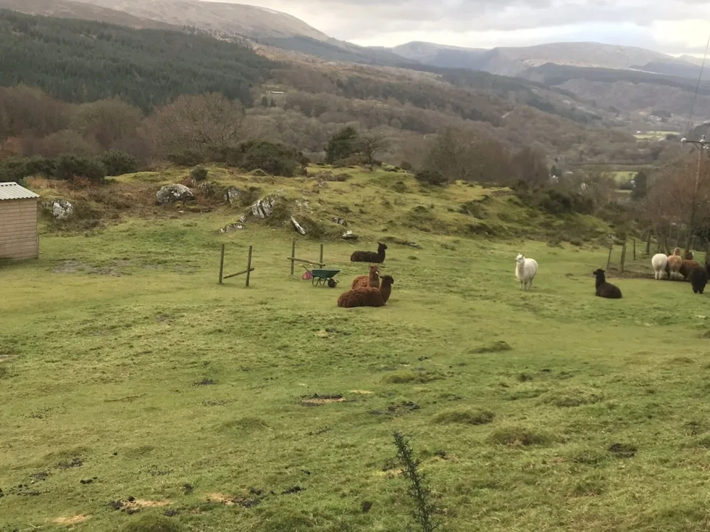 Impeccable 2-bed Cottage Near Betws y Coed
