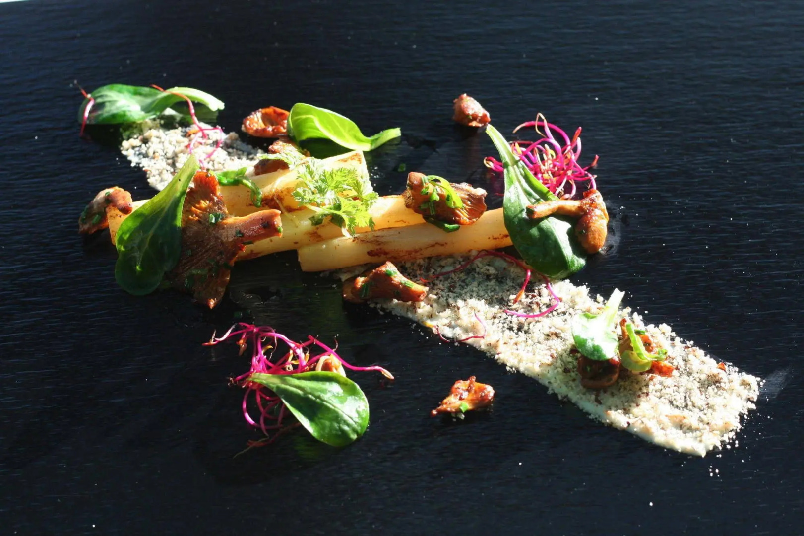 Hôtel le Mont Paisible