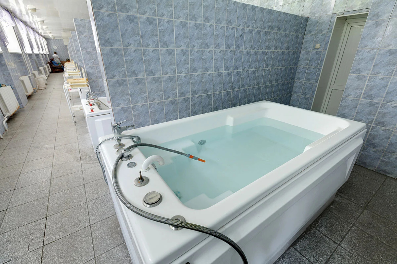 Кедровый бор