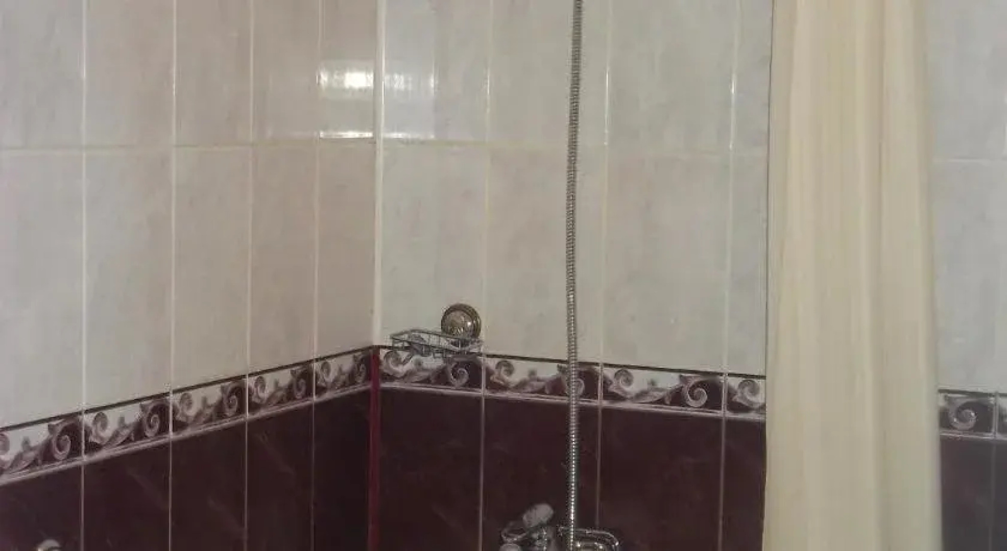 Коралл гостевой центр