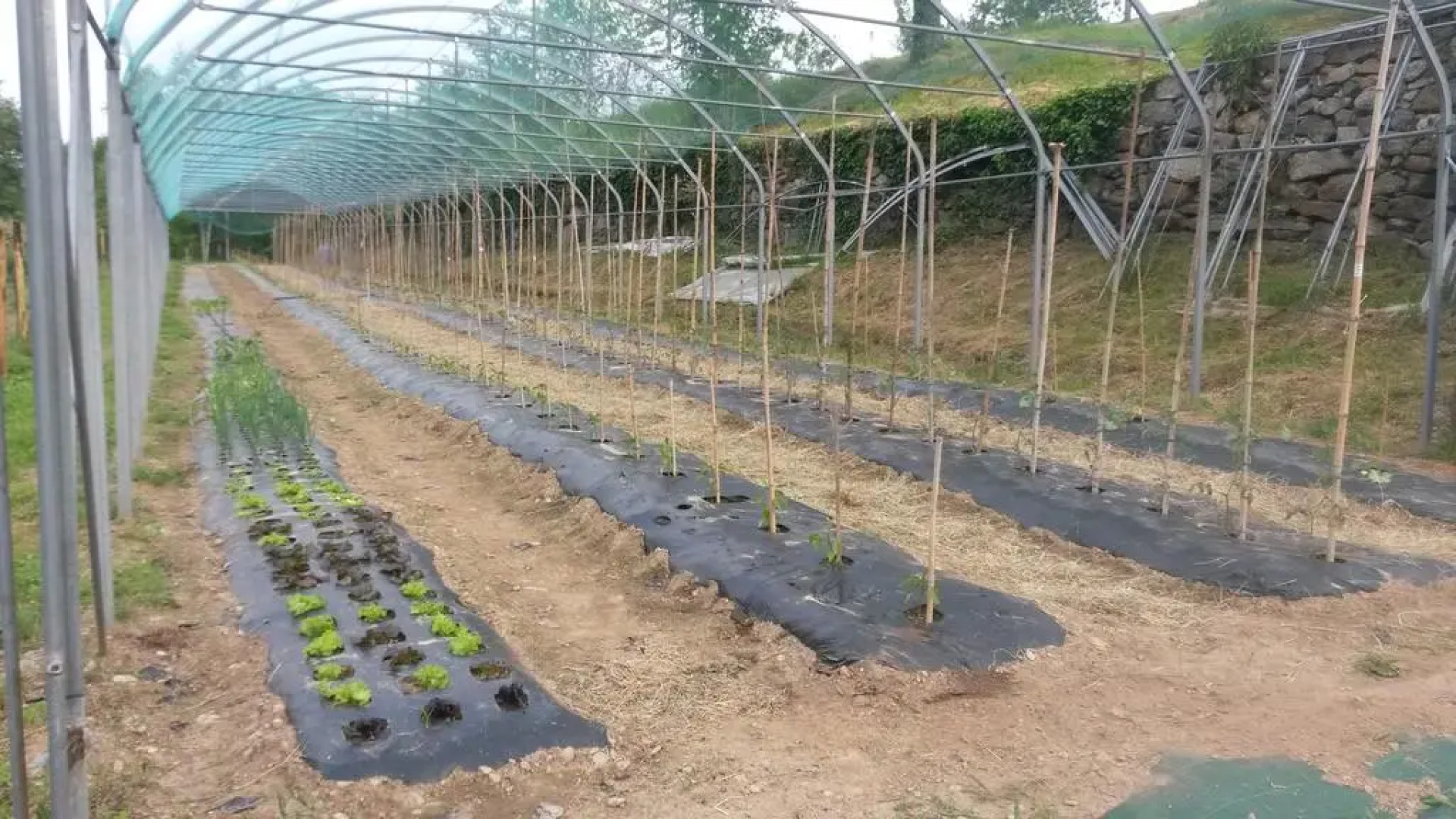 Agriturismo La Campagnetta