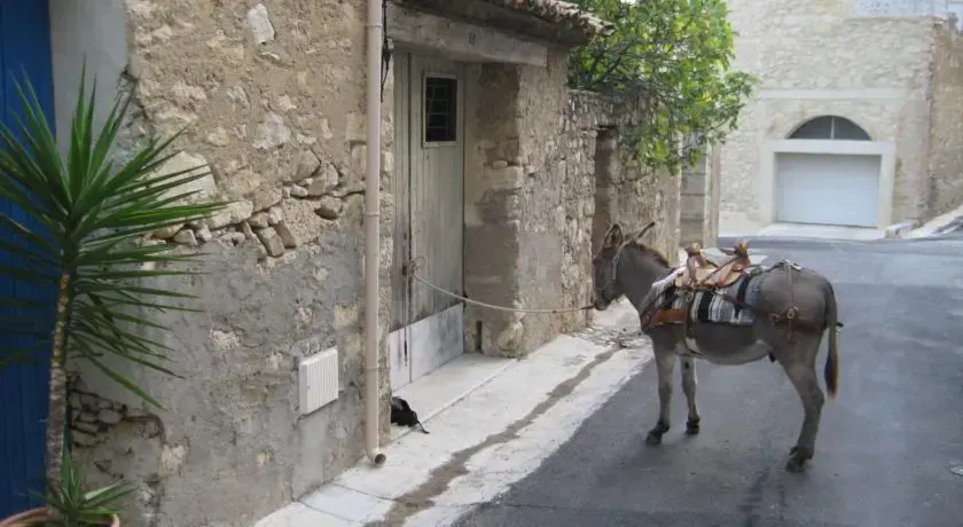 La Maison des Iles